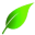 Silverstone Green Energy logo